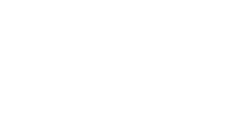 Ally Home Care Logo