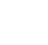 Stealth Alarms Logo